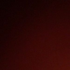 Meet your Posher, Arlene